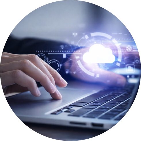 Custom web and mobile application development services