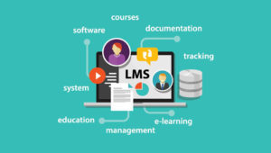 Why Is LMS Important Nowadays?