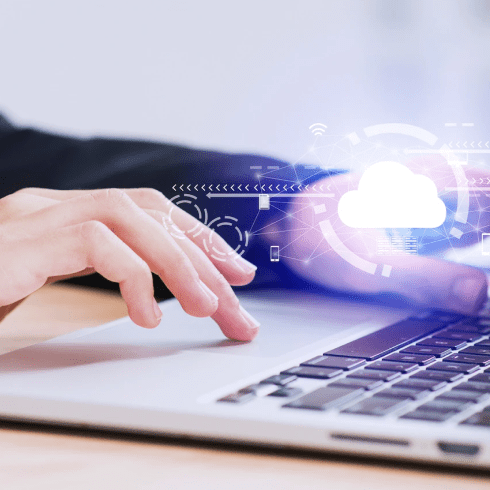 Custom web and mobile application development services